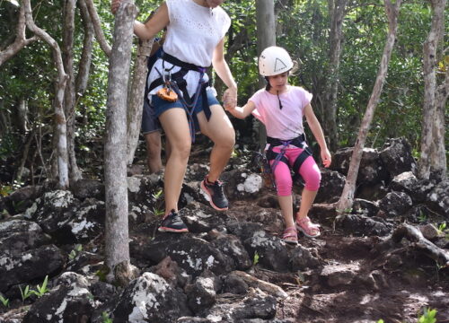 Visit of Endemic Forest & Walk to “Au bout du  monde” platform